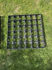 Square Plastic Shed Base 50 In Total