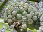 VINTAGE ESTATE fluorite bead chinese authentic antique shou bead necklace — photo 7
