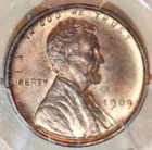 1909 VDB Lincoln Cent - PCGS MS 64 RB - #C6466 FREE SHIPPING