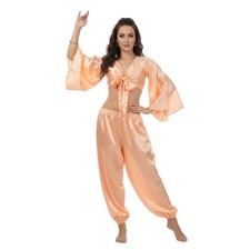 Women's Satin Harem Pant  Top Set Two Piece Outfit Belly Dance Party S40