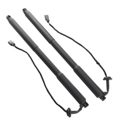 2x Gasfeder Heckklappe Kofferraum for VOLVO XC60 I 156 Bj 08-15 31298576