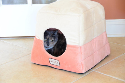 Cozy Orange and Beige Cat Bed for Ultimate Comfort and Style