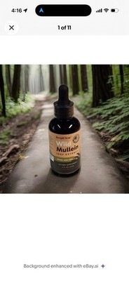 RESPICLEAR All-Natural Mullein Leaf Extract Ginger Lemon for Lung Cleanse NonGMO