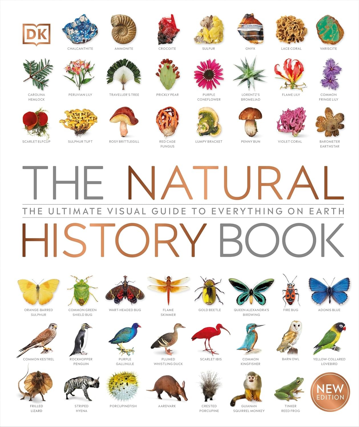 The Natural History Book: The Ultimate Visual Guide to Everything on Earth (DK Definitive Visual Encyclopedias) - Image 7