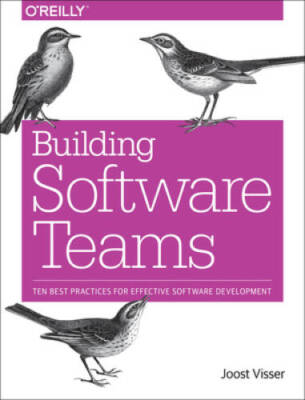 Building Software Teams - VERY GOOD