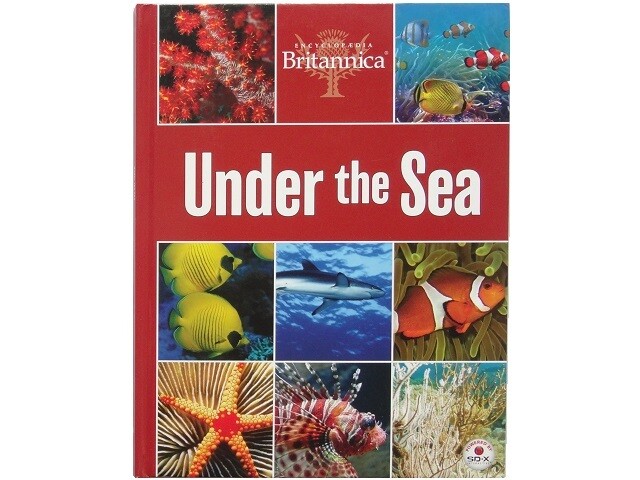 Ocean Wildlife Photo Book Sharks Octopuses Jellyfish Crabs Shrimp Shellfish