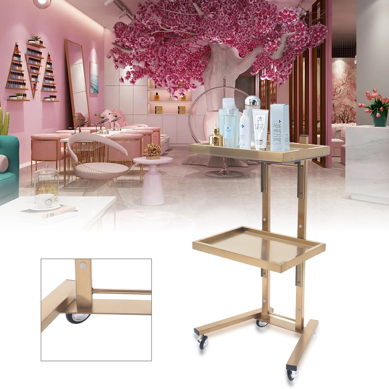 2-Tier Salon SPA Rolling Tray Tattoo Hair Stylist Equipment Storage Trolley Cart