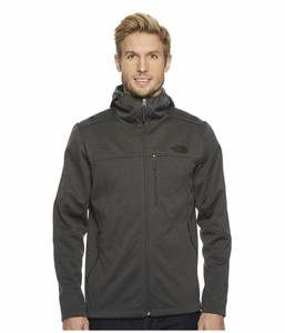 north face apex canyonwall hoodie