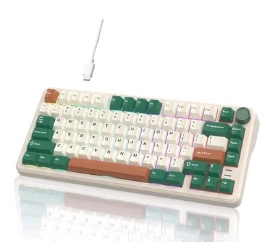 Hello Ganss 75% Retro GREEN Wired Hot Swap Mechanical Gaming Keyboard w/Knob 