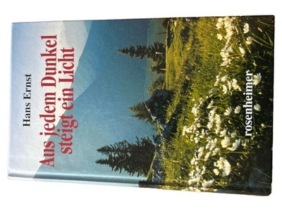 Aus jedem Dunkel steigt ein Licht Hans Ernst Spiritualität Esoterik Taschenbuch