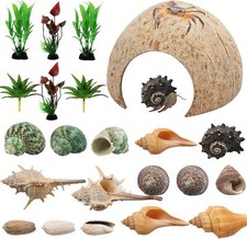 Hermit Crab Supplies, 22 Pcs Hermit Crab Shells, Natural Coconut Shell Reptile H