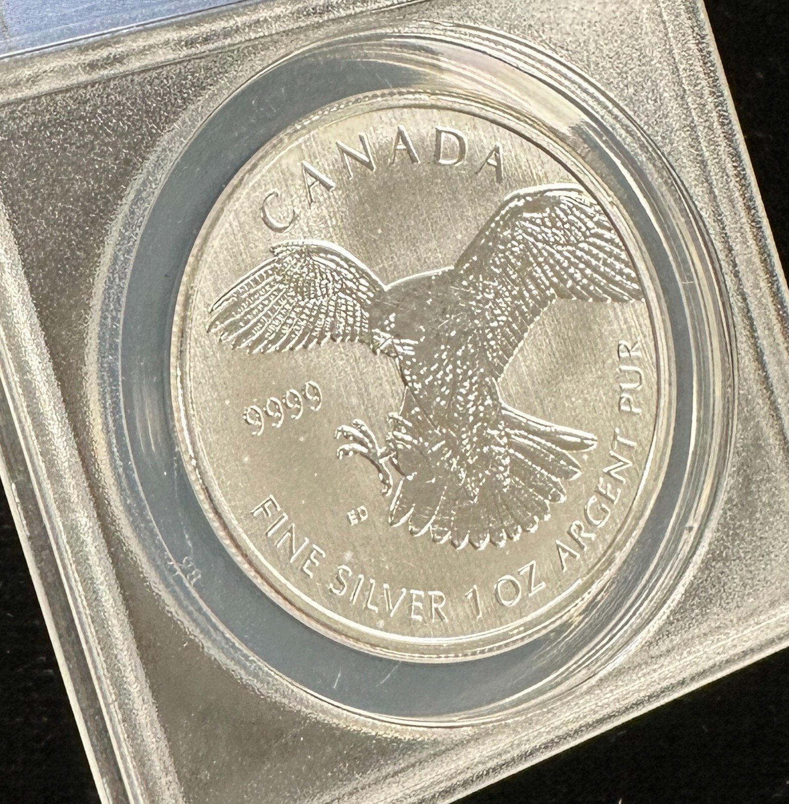 Picture 3 of 7