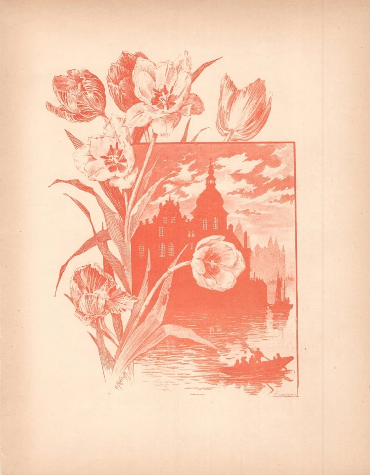 Stampe antiche LOTTO 4 FIORI IN SANGUIGNA Gustave Fraipont 1896 Antique prints - Immagine 4 di 4