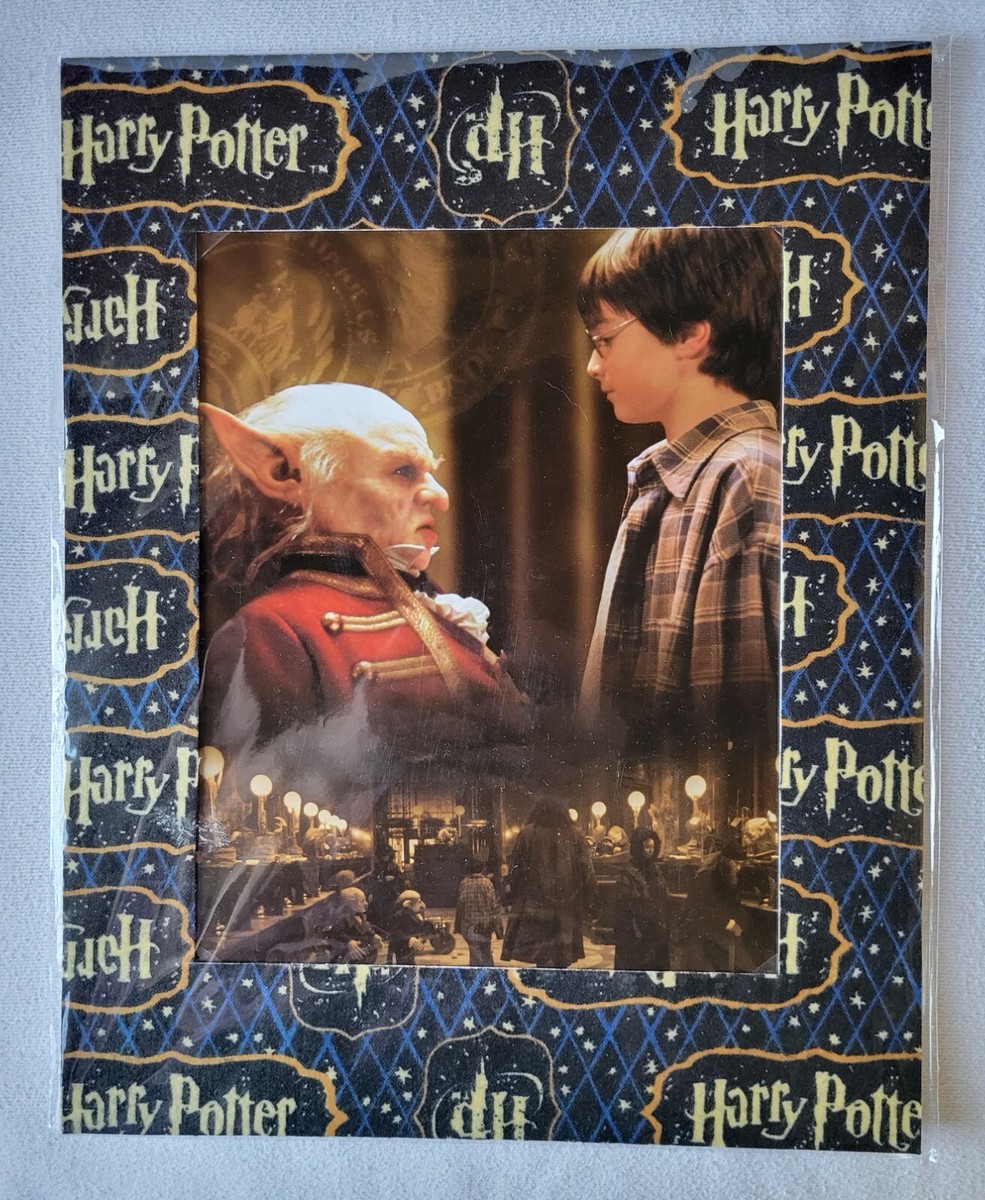Harry Potter themed photo frame with 8x10 of Harry with Professor