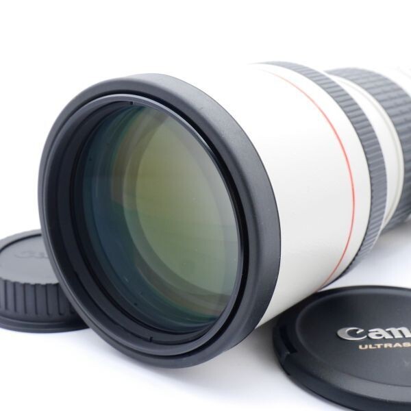 NEAR MINT Canon EF 300mm f/4 L USM Lens for EF Mount w Caps NEAR MINT Canon EF 300mm f/4 L USM Lens for EF Mount w Caps