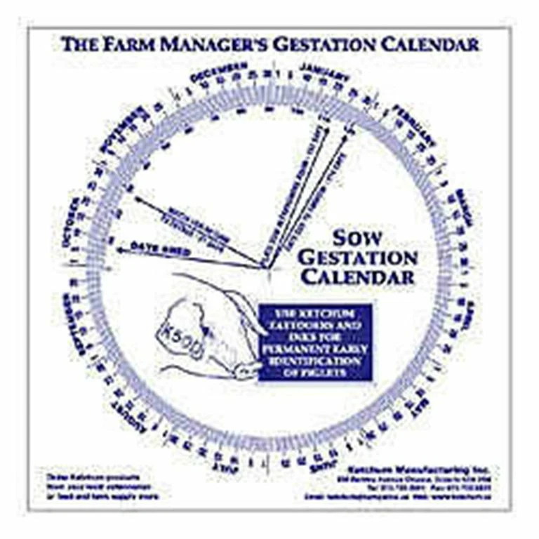 Swine Gestation Calendar Calculate Birth Breeding | eBay Swine Gestation Calendar Calculate Birth Breeding | eBay