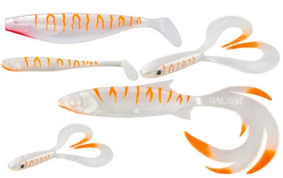 Shirasu Majo Perch Collector Albino Sonderfarben Pike Zander Reptile Shad Z Shad