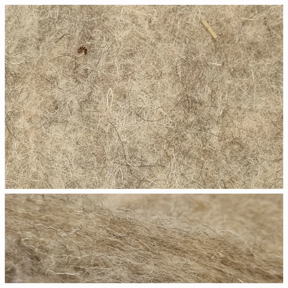 Filz, 100% Schurwolle, Wollfilz, Filzmatte Schafwolle 5 m - Bild 3 von 4