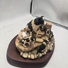 Foto 2 di 5