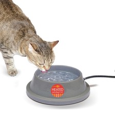 Pet Products Thermal-Bowl Heated Water Bowl for Outdoor Cats  Dogs, Outdoor Ice