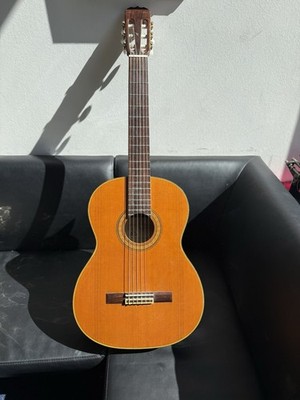 Professional concert guitar