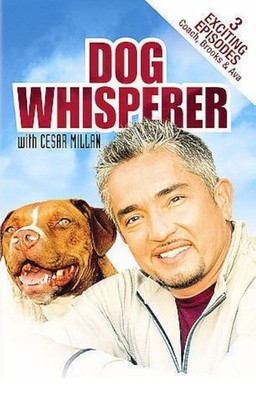 Screen Media Dog Whisperer 3 Exciting Episodes Coach Brooks & Ava On DVD D16
