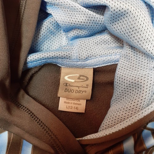 Champion Duo Dry Gray And Blue Boys Hoodie Size L 12-14 sweatshirt graphic VGUC - Picture 5 of 11