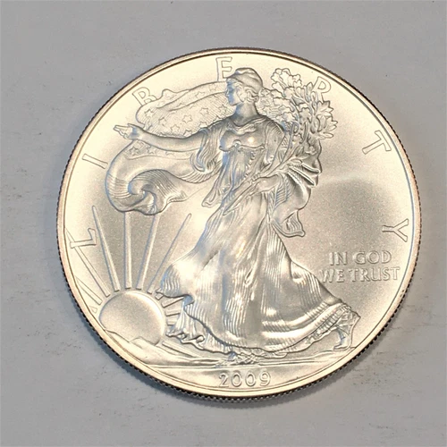 2009 Uncirculated American Silver Eagle US Mint Issue 1oz Pure Silver #N305