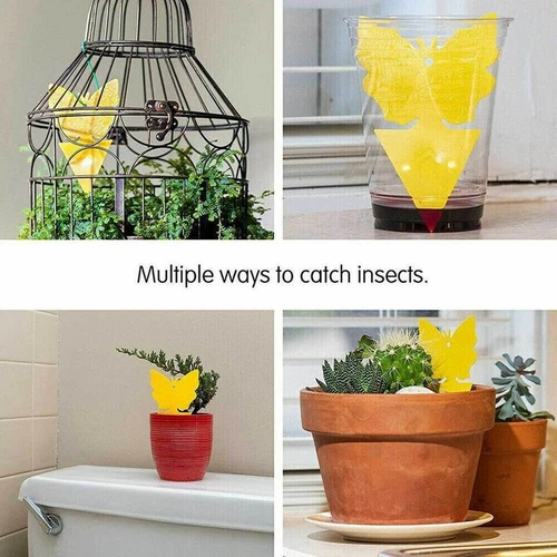 20pcs Sticky Fruit Fly Traps, Fungus Gnat Killer Trap use for Indoor Outdoor - Picture 12 of 23