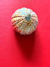 Old World Christmas OWC Glass Blown Ornament, Sea Urchin