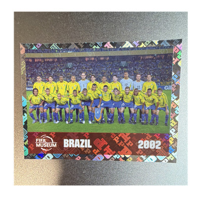 Panini FIFA World Cup 2002 Brazil Team Picture Foil Sticker FWC 16