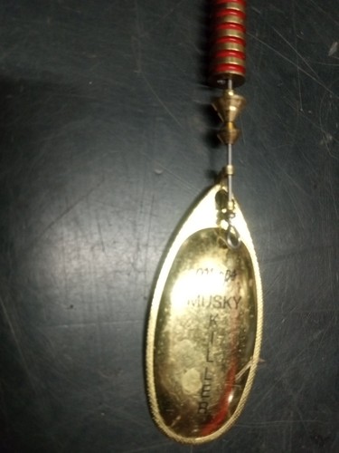 Mepps #5 Aglia Musky Killer Spinner Lure Musky Gold Blade Single Treble - Used - Picture 3 of 9
