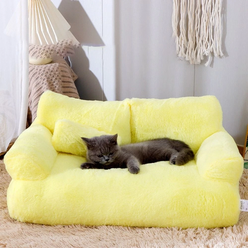 Cat in on sale sofa