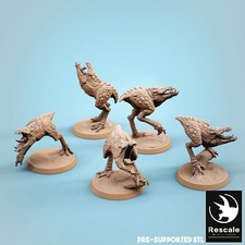 Scavengers by Rescale Miniatures | D&D | DnD ...