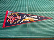 WNBA Indiana Fever Inaugural Season 2000 Pendant Vintage Signed Wall Red Blue
