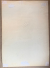 Foto 10 di 12