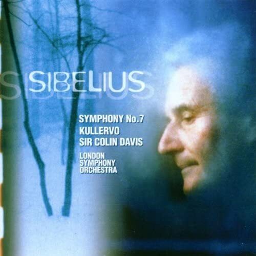 Jean Sibelius Sibelius: Symphony 7 / Kullervo (CD)
