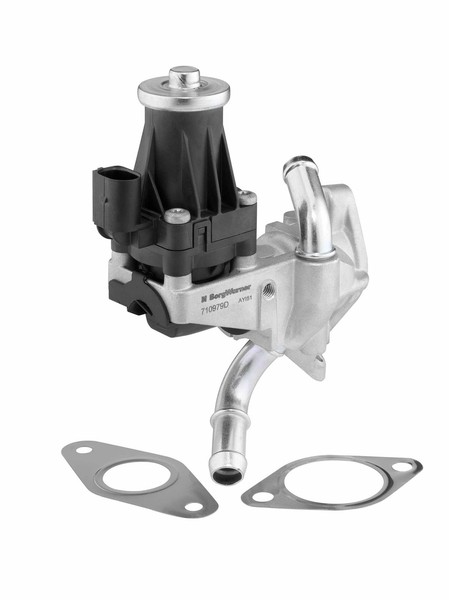 BorgWarner 710979D Agr-Ventil FüR CitroËN Ford Land Rover Peugeot-image