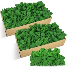 21.2 oz Moss Preserved 1.32 Lbs Green Preserved Reindeer Moss Bulk Artificial...