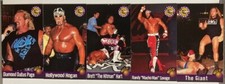 WRESTLING TALKING CARDS PROMO SET CHICAGO NATIONAL 1998 SAVAGE/HOGAN/HART/PAGE