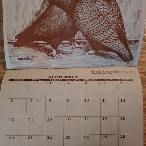 Vintage Issue One 1981 Pigeons of the World Diane Jacky 12 Month Wall Calendar - Picture 3 of 5