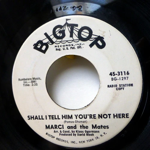 Marci Und Die Mates 45 Wird I Tell Him You'Re Not Here Bigtop Promo Pop Lc193