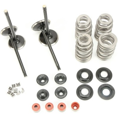 Kibblewhite Precision Machining Black Diamond Engine Valve Kit - 20-23150