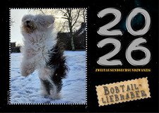 Bobtail Kalender 2026 - Old English Sheepdog (OES) NEU