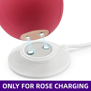 Rose Toy Charger