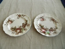 Johnson Brothers "Harvest Time" (2) 6 1/4" Bread Plates                     17-5