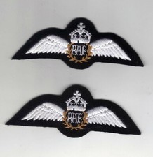 ROYAL AIR FORCE WW2 TYPE PILOTS WINGS IN WHITE - 1 X PADDED/1 X UNPADDED
