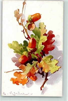 10673998 - Oak Leaves Small, C./C. Small