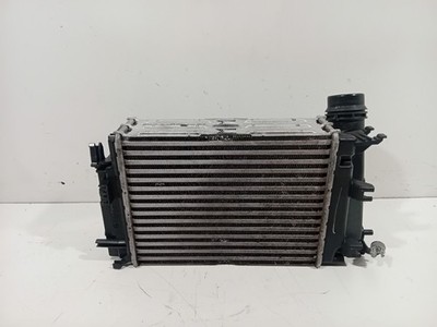 Renault Scénic Ladeluftkühler 2018-2022 144962803R H5H-470 H5H-B4