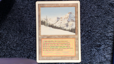 Taiga デュアルランド TAIGA dual land Revised Edition Magic the Gathering Unplayed Near